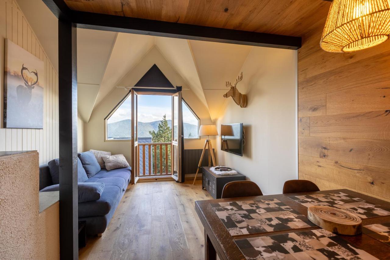 Le Cerf - Duplex Avec Superbe Vue Montagne Daire Les Angles  Dış mekan fotoğraf